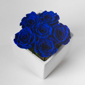 Preserved Roses - Royal Blue