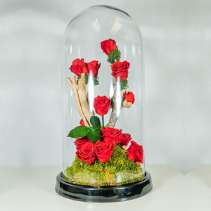 Preserved Roses - Big Glass Capsule