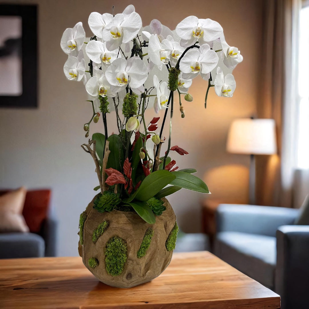 Orchid Care Tips: How to Keep Your Orchid Arrangement Beautiful