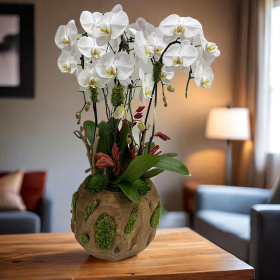 Orchid Care Tips: How to Keep Your Orchid Arrangement Beautiful