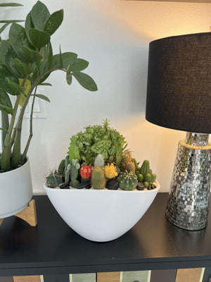 Potted plants including a mix of succulents and a lamp on a table.