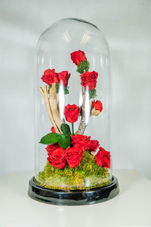 Preserved Roses - Big Capsule