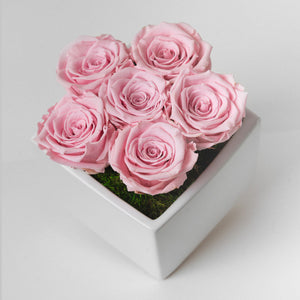 Preserved Roses - Light Pink
