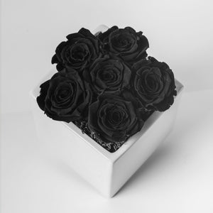 Preserved Roses - Black