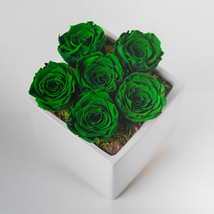 Preserved Roses - Dark Green