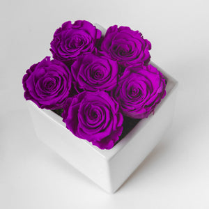 Preserved Roses - Purple