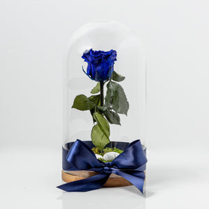 Preserved Roses - 1 Rose Glass Capsule