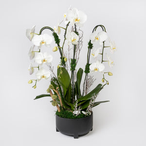 Large Black & White Orchid Arrangement - Carlos Marin Designer