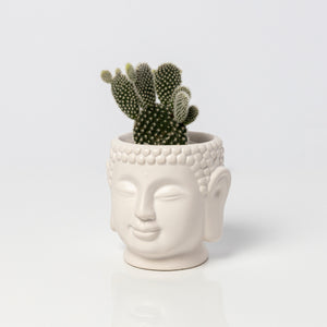 Mini Buddha Collection