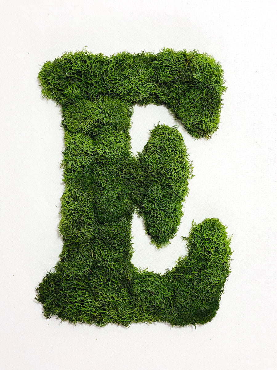 Moss Lettering Moss Designs Decor | Figurine Shop Near Me | Moss Art Wall Frame