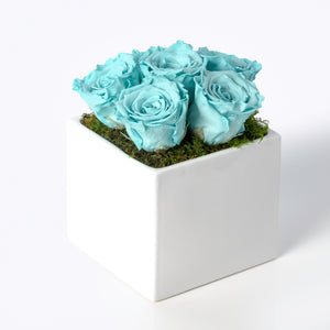 Preserved Roses - White Ceramic Base