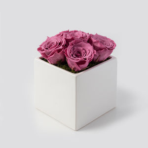 Preserved Roses - White Ceramic Base
